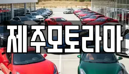 제주특별자치도 제주시 조천읍 중고차매매 전문 제주모토라마