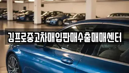 제주특별자치도 제주시 조천읍 중고차매입 전문 김프로중고차매입판매수출매매센터