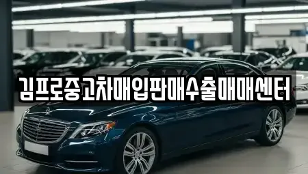 충남 공주시 산성동 중고차 전문 김프로중고차매입판매수출매매센터