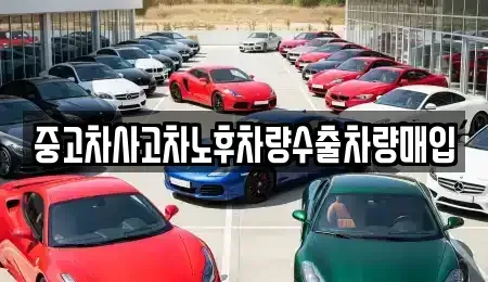 충남 공주시 산성동 중고차 전문 중고차사고차노후차량수출차량매입