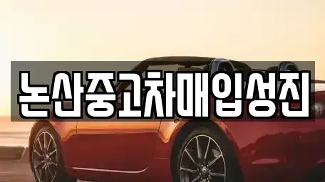 충남 논산시 취암동 중고차 전문 논산중고차매입성진