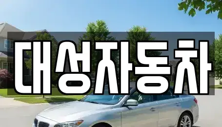 충남 논산시 취암동 중고차 전문 대성자동차