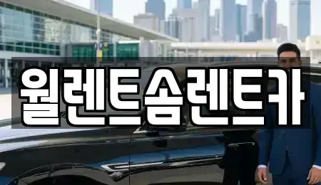 충남 예산군 신암면 렌트카 전문 월렌트솜렌트카