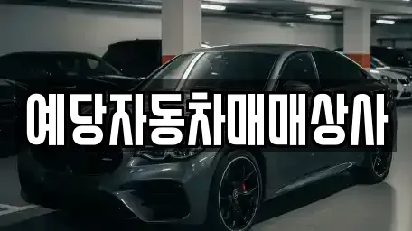 충남 예산군 신암면 중고차 전문 예당자동차매매상사
