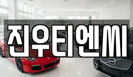 충남 천안시 서북구 부대동 중고차 전문 진우티엔씨