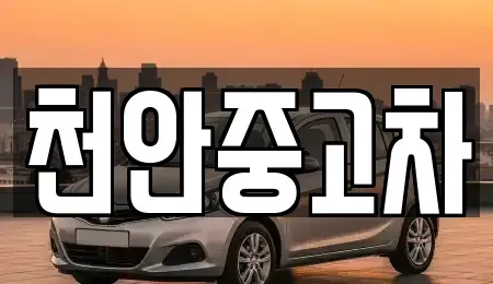 충남 천안시 서북구 부대동 중고차 전문 천안중고차