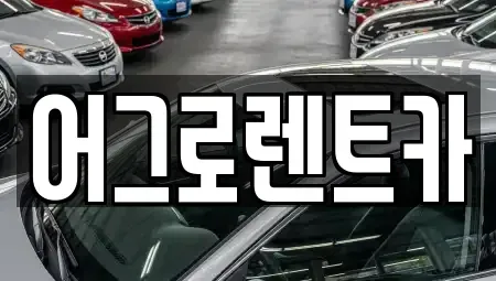 충북 청주시 상당구 운동동 렌트카 전문 어그로렌트카