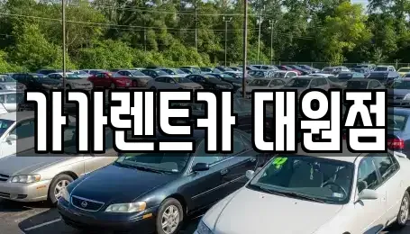 충북 청주시 흥덕구 외북동 렌트카 전문 가가렌트카 대원점