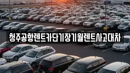 충청북도 청주시 흥덕구 단기렌트카 전문 청주공항렌트카단기장기월렌트사고대차