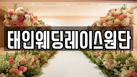 태인웨딩레이스원단