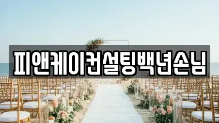 피앤케이컨설팅백년손님